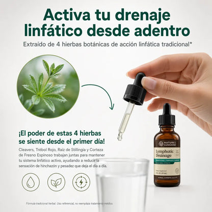 Nature sunshine drenaje linfatico Lymph